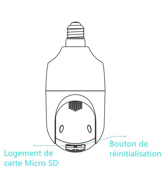 DP1_FR.png