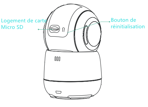 CB1_FR.png
