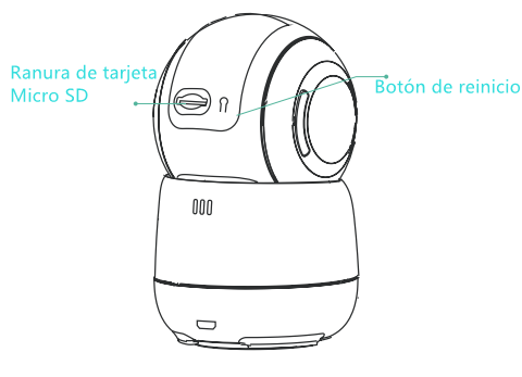CB1_ES.png