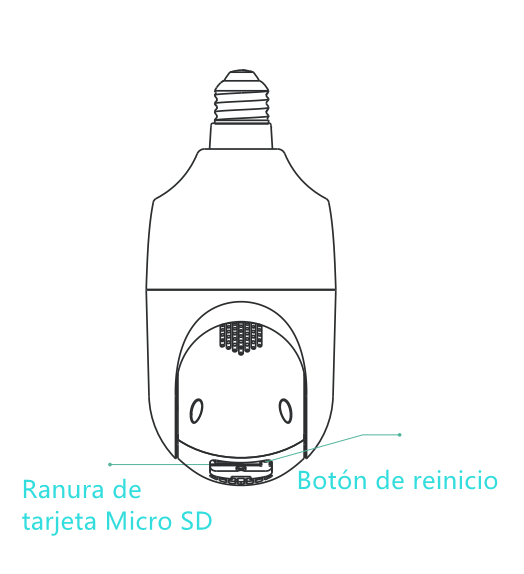 DP1_ES.png