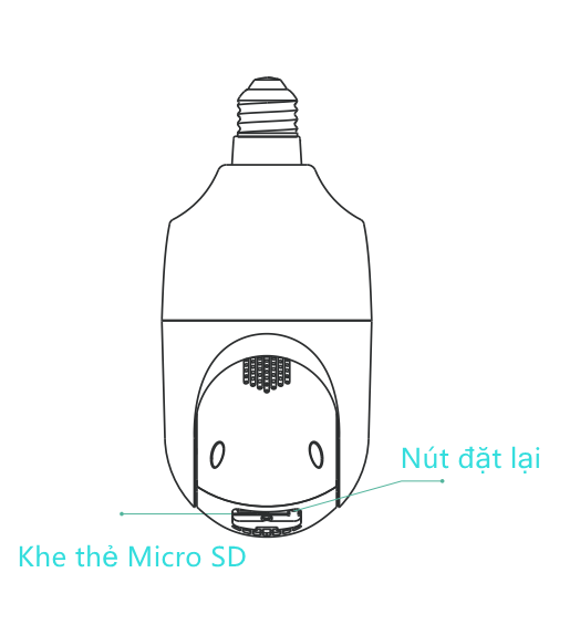DP1_VE.png