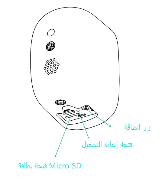 CG6_AR.png