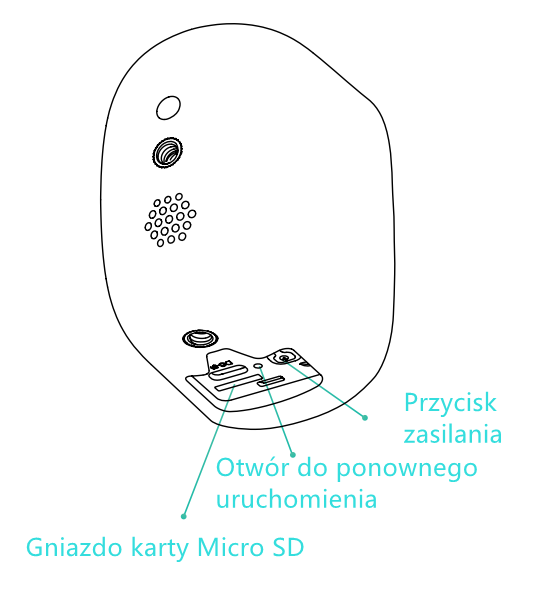 CG6_PL.png