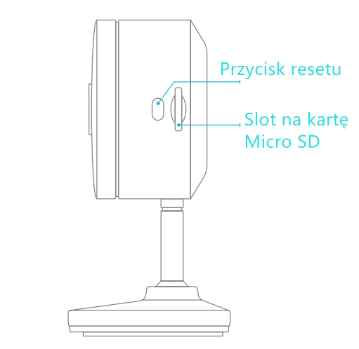 CK1_PL.png