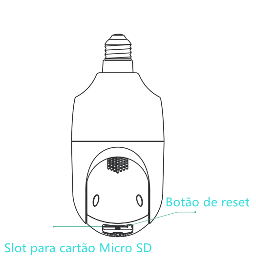 DP1_PT.png