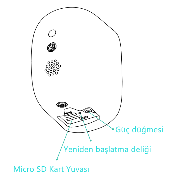 CG6_TR.png