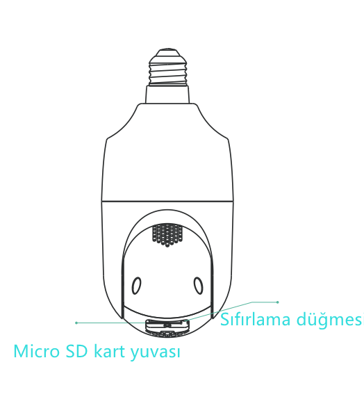 DP1_TR.png