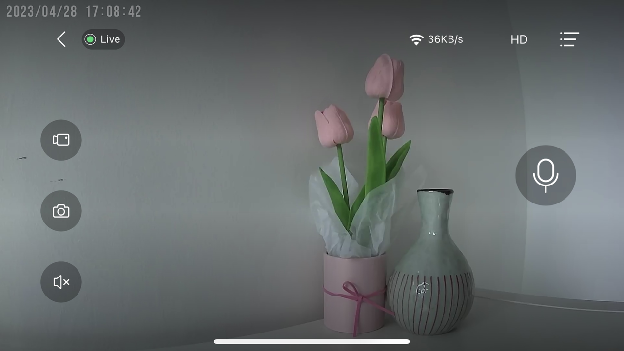 full-screen live stream.png